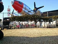 2015.2.15 所沢航空公園。