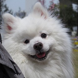 微笑み