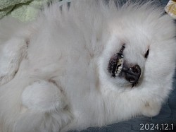 小さな幸せ